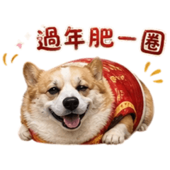 柯基錢錢節日專用