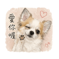 琳萌系列