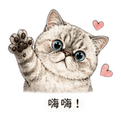 包子臉的加菲貓3
