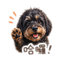 日系療癒小狗PINGU｜超實用聊天必備