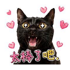 吉吉超Q篇