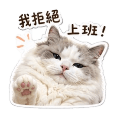 嚕小寶-不想上班系列