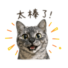 難得可愛的墨