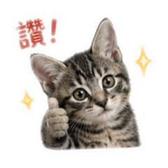 ciiwa