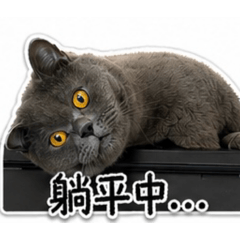 小堡可愛貼圖