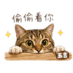四寶貓喵的日常2