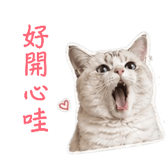 一團麻糬寶寶