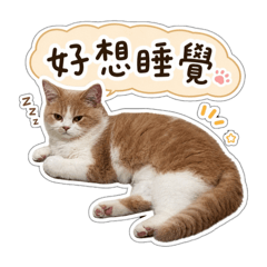 林萌(簡單版)