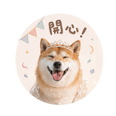 查皮公主與弟弟們的日常用語