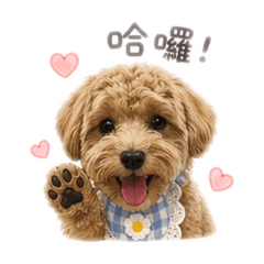 瑪爾泰迪の日常生活