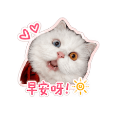 雪兒12