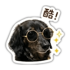 DAPU日常