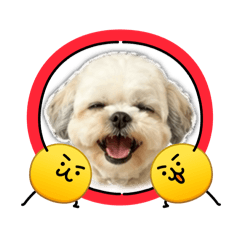 小花芝丸
