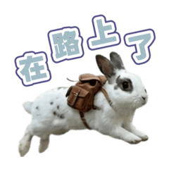 湯瑪士兔兔_日常篇（第二彈）