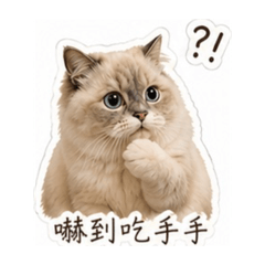 三隻小Q