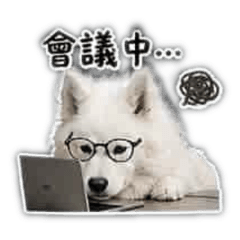 薩薩耍廢篇