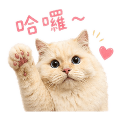阿屁屁～～