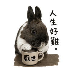 厭世的兔吉