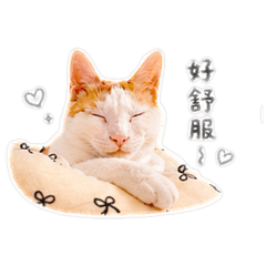 方小麥の日常