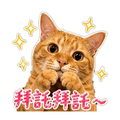 跳跳之日常用語1