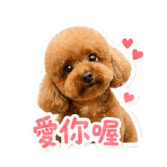 tata塔哥