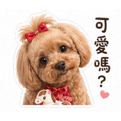 Chemullesaの紅貴賓