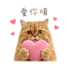 丸丸的貼圖-濃的貓貓貼圖