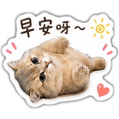 Migi的咪言咪語