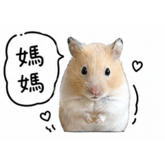 憨吉的自製貼圖