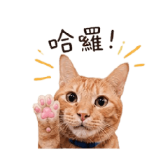 董仔仔～～