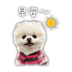 耶Yuki