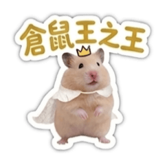 椪糖-繽紛生活篇