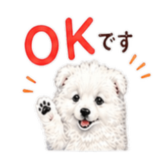 Lucky the Puppy | Daily Polite Stickers