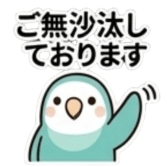 Honorifics & Polite/White-faced lovebird