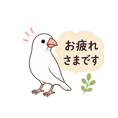 White Java Sparrow Office Stickers
