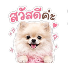 Mumeen_20260504185227