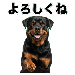 羅威納犬問候 1