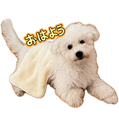 Takuya_20030828