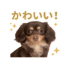 34chan_20260505190358