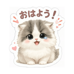 HashimotoSatohiro_20260505172947