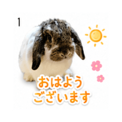 HIME2- Daily Chat Stickers