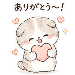 Gentle Everyday Cats