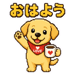 Cute Labrador Retriever from Japan
