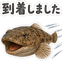 honorific Real Magochi