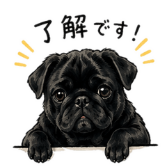 Daily Black Pug Daizu - Greetings1