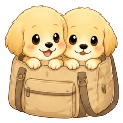 Golden Retriever: Early Summer