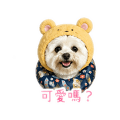 阿肥馬爾濟斯