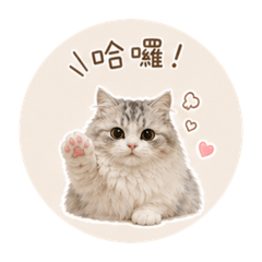 芝麻家的OREO