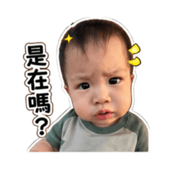 西瓜不西瓜