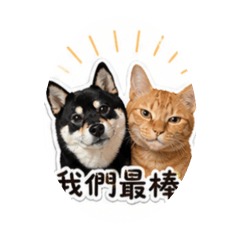 柴柴ㄩˇ喵喵